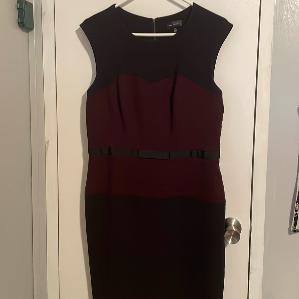 The Limited dress